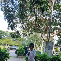 Centro Cultural de Villa Elisa - Villa Elisa