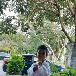 Centro Cultural de Villa Elisa - Villa Elisa