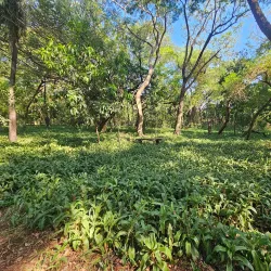 Parque de la Salud - Villa Elisa