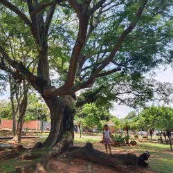 Parque Lineal Villa Elisa - Villa Elisa