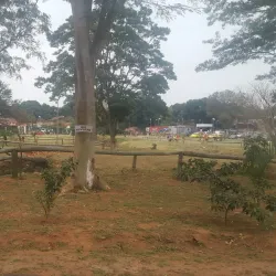 Plaza de Villa Elisa - Villa Elisa