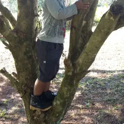 Reserva Natural Ykua Bolaños - Villa Elisa