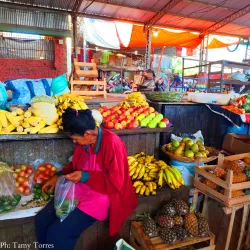 Mercado Municipal de Villarrica - Villarrica