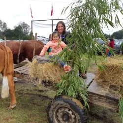 Parque Municipal de Villarrica - Villarrica