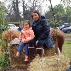 Parque Municipal de Villarrica - Villarrica