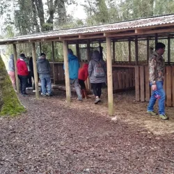 Parque Municipal de Villarrica - Villarrica