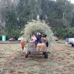 Parque Municipal de Villarrica - Villarrica