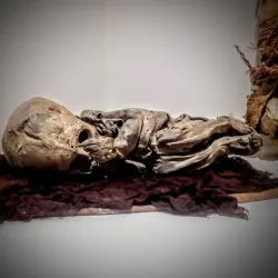 Museo Regional de Ayacucho - Ayacucho