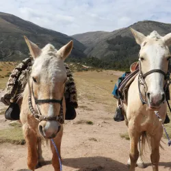 Pumapampa Archaeological Site - Ayacucho