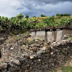 Wari Archaeological Site - Ayacucho