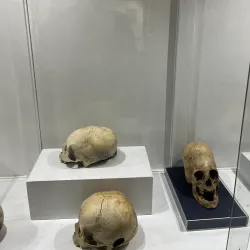 Museum of Inka - Cusco