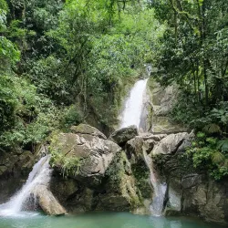 Tingo Maria National Park - Huánuco