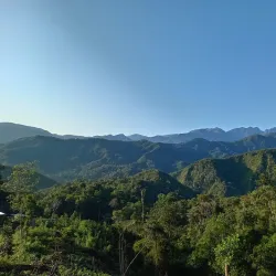 El Bosque de Protección Pampa Hermosa - La Merced