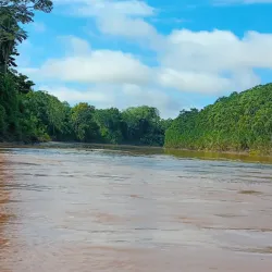 Bahuaja-Sonene National Park - Puerto Maldonado