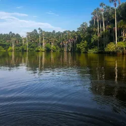 Lake Sandoval - Puerto Maldonado