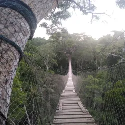 Tambopata Canopy Walkway - Puerto Maldonado