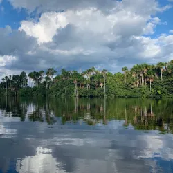 Tambopata National Reserve - Puerto Maldonado