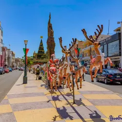 Plaza de Armas de Tacna - Tacna