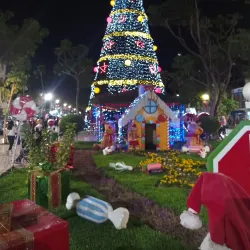Plaza de Armas de Tacna - Tacna