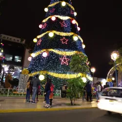 Tacna Cathedral (Catedral de Tacna) - Tacna