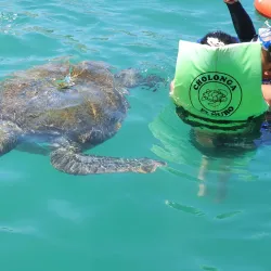 Playa El Ñuro - Talara