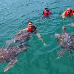 Playa El Ñuro - Talara