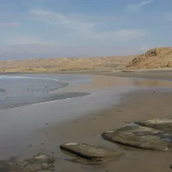 Playa Lobitos - Talara