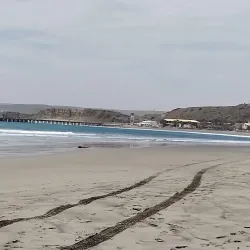 Playa Lobitos - Talara