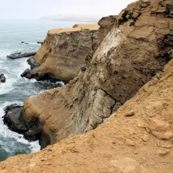 Reserva Nacional de Paracas (nearby) - Talara
