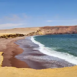 Reserva Nacional de Paracas (nearby) - Talara