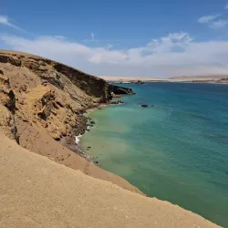 Reserva Nacional de Paracas (nearby) - Talara