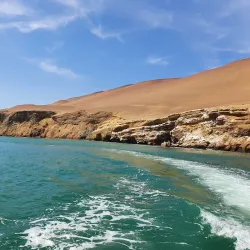 Reserva Nacional de Paracas (nearby) - Talara