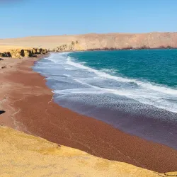 Reserva Nacional de Paracas (nearby) - Talara
