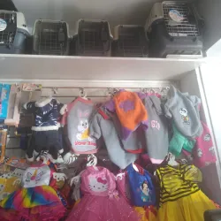 Talara Market (Mercado Central) - Talara