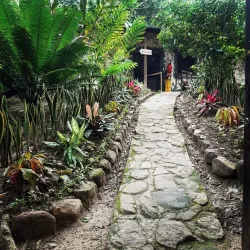 Cordillera Escalera Reserved Zone - Tarapoto