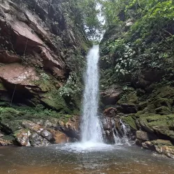 Huacamaillo Lagoon - Tarapoto