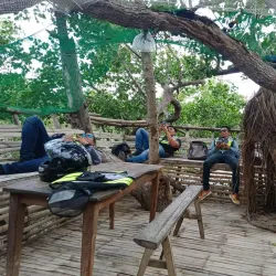 Ajuy Mangrove Forest - Ajuy