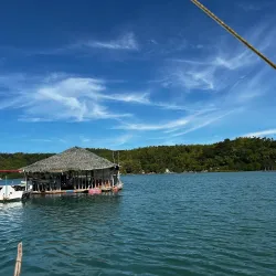 Ajuy Mangrove Forest - Ajuy