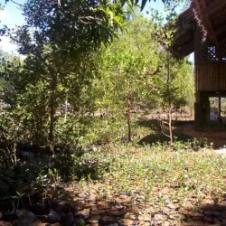 Ajuy Town Plaza - Ajuy