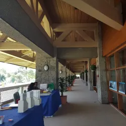 Alabang Golf and Country Club - Alabang