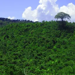 Bicol Natural Park - Albay