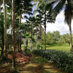 Bicol Natural Park - Albay