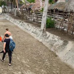 Donsol Whale Shark Interaction - Albay