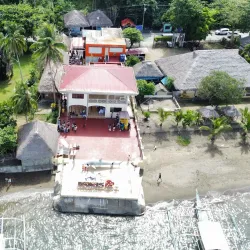 Donsol Whale Shark Interaction - Albay