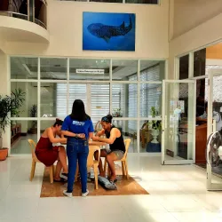 Donsol Whale Shark Interaction - Albay