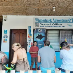 Donsol Whale Shark Interaction - Albay