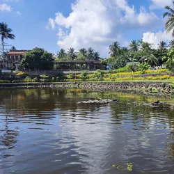 Sumlang Lake - Albay