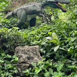 Dinosaurs Island - Angeles