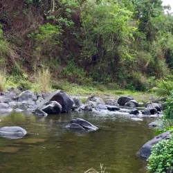 Pinto Nature Park - Antipolo