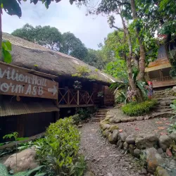 Pinto Nature Park - Antipolo